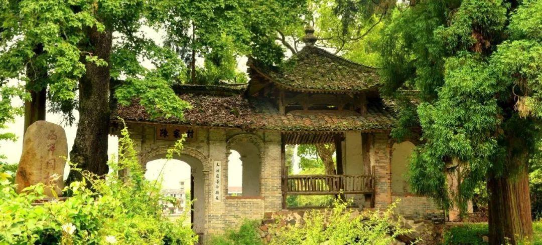两会大家谈|山东省政协委员刘德军:加快构建低空产业发展架构 形成低空经济集聚效应